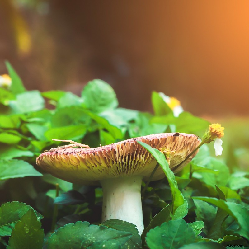 Mastering Aspect Ratios in Photography: Essential Guide for Stunning Compositions