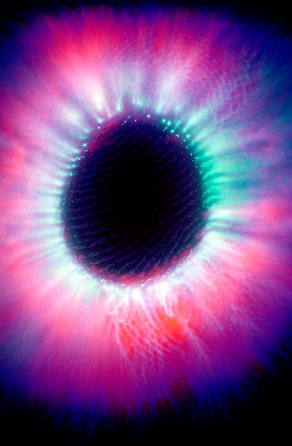 Photographic Superpowers: Capturing Beyond Human Vision