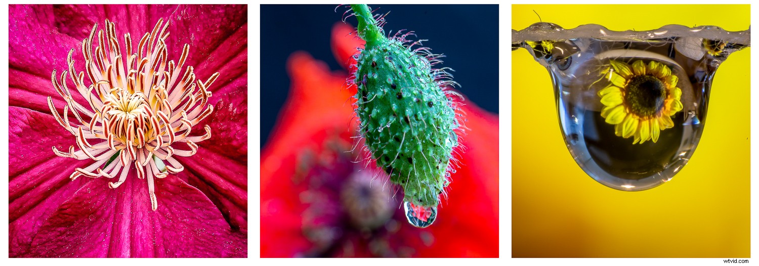 Photographic Superpowers: Capturing Beyond Human Vision