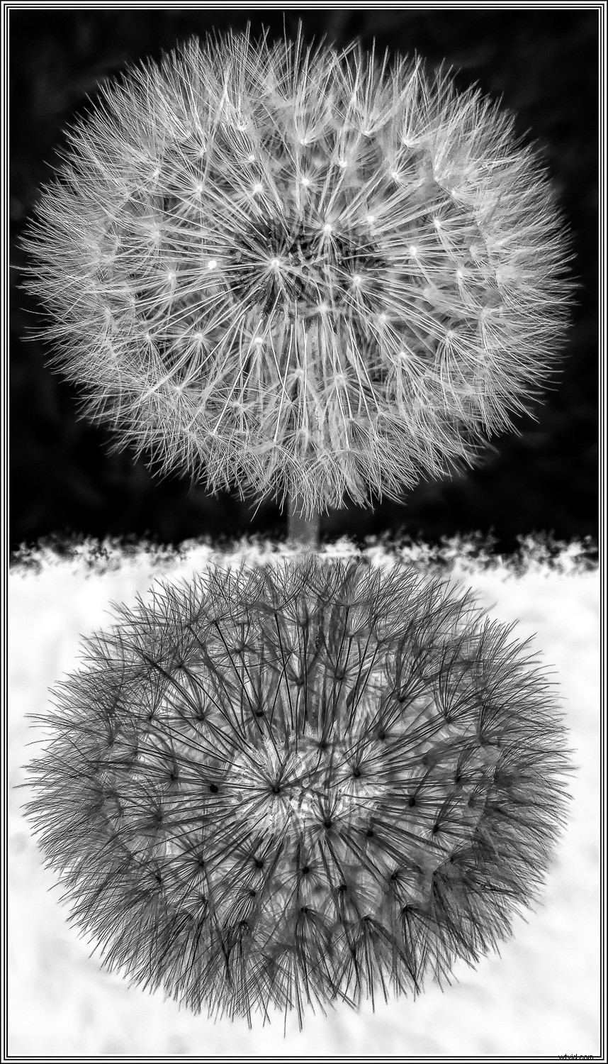 Photographic Superpowers: Capturing Beyond Human Vision