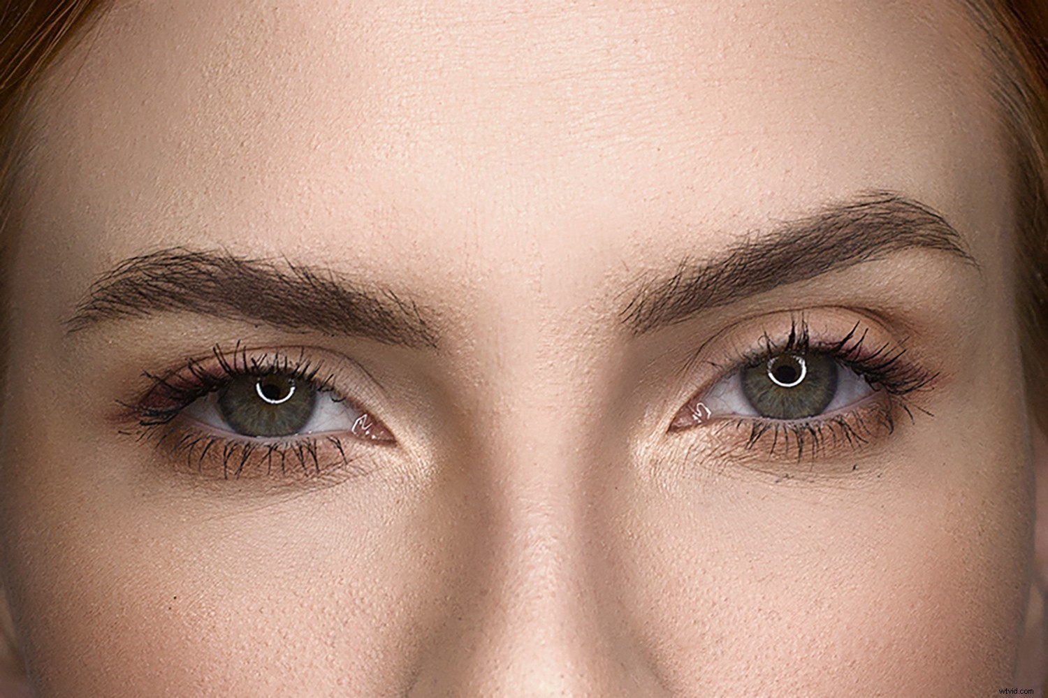 4 Proven Techniques for Creating Stunning Catchlights in Portrait Photography