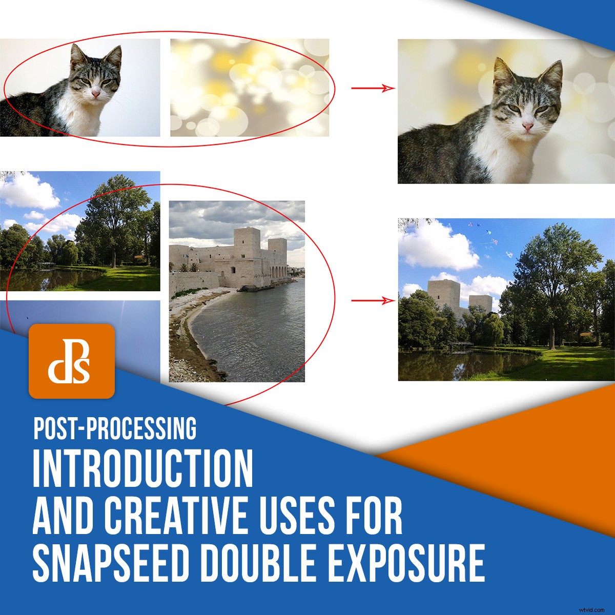 Master Snapseed Double Exposure: Creative Tutorials, Collages & Compositing Guide
