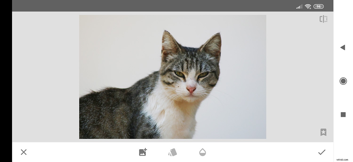 Master Snapseed Double Exposure: Creative Tutorials, Collages & Compositing Guide