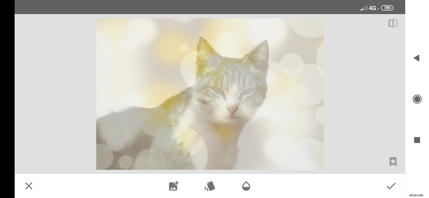 Master Snapseed Double Exposure: Creative Tutorials, Collages & Compositing Guide
