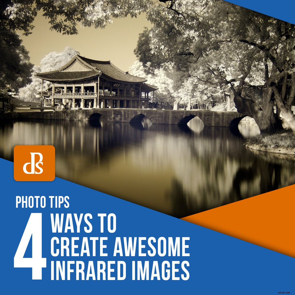 4 Proven Ways to Create Stunning Infrared Images