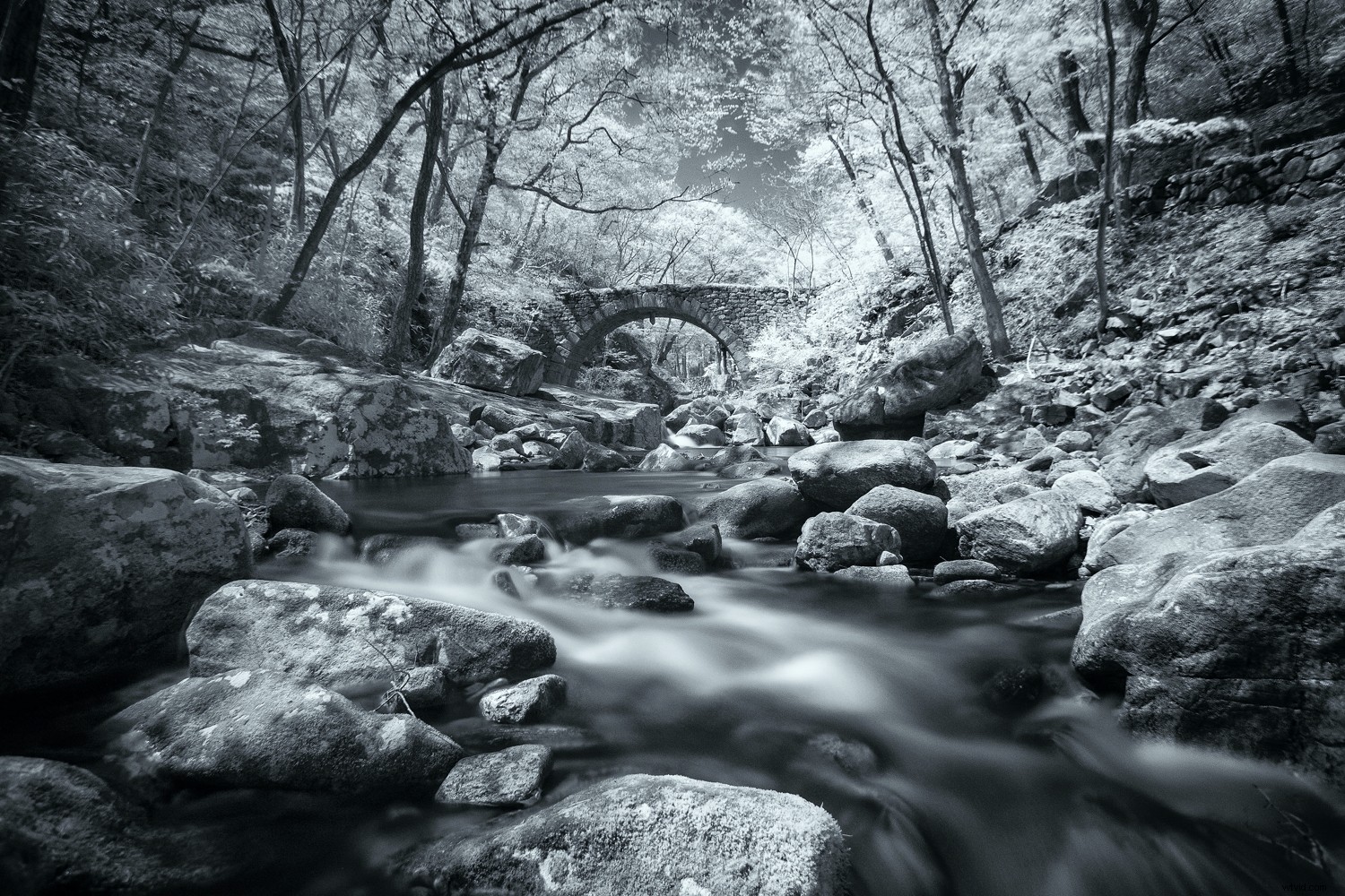4 Proven Ways to Create Stunning Infrared Images