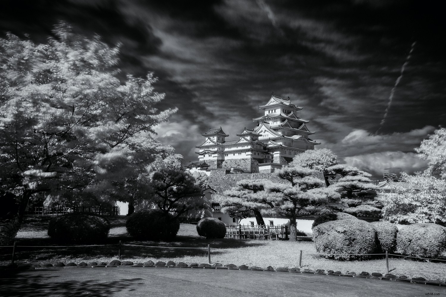 4 Proven Ways to Create Stunning Infrared Images
