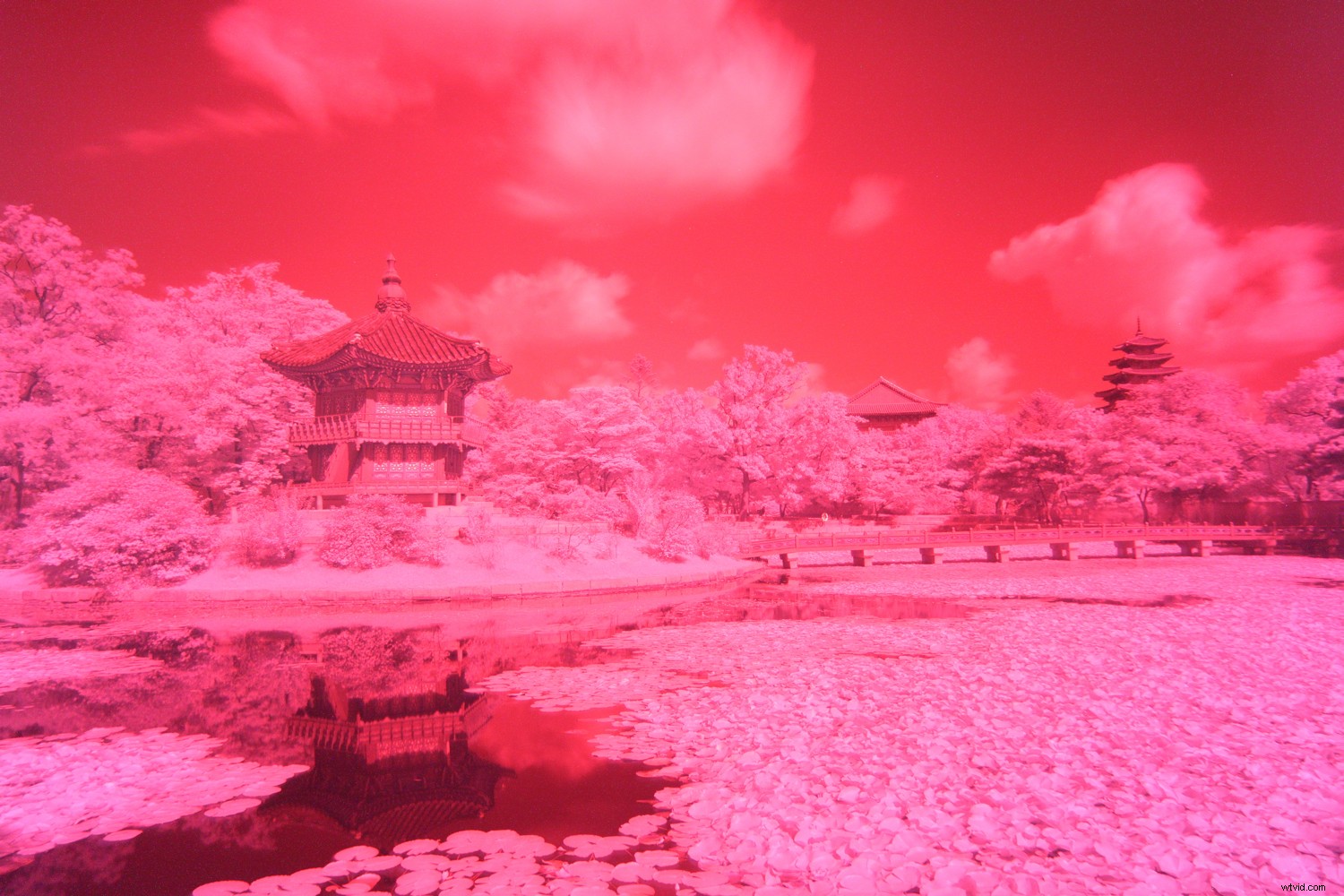 4 Proven Ways to Create Stunning Infrared Images
