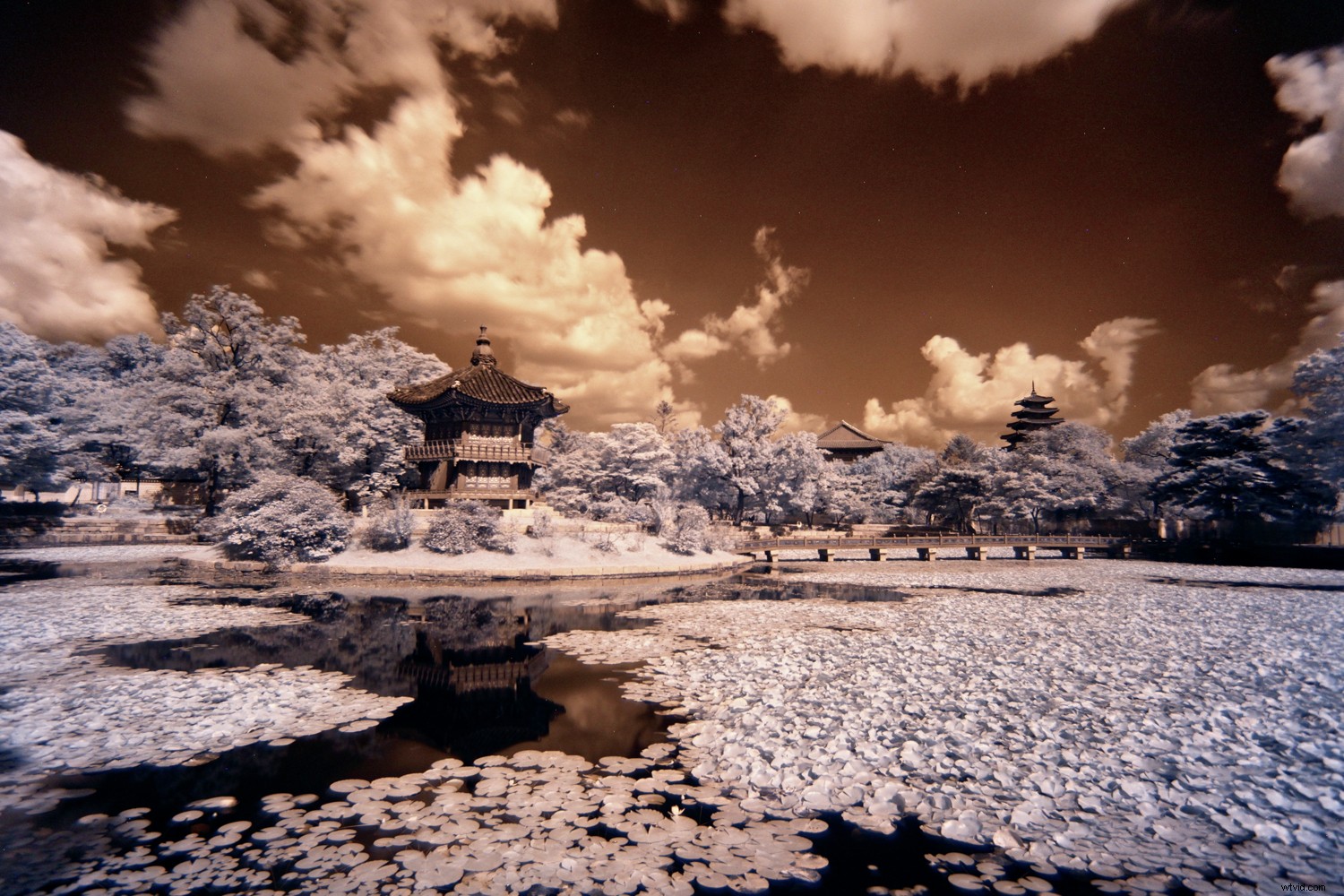 4 Proven Ways to Create Stunning Infrared Images