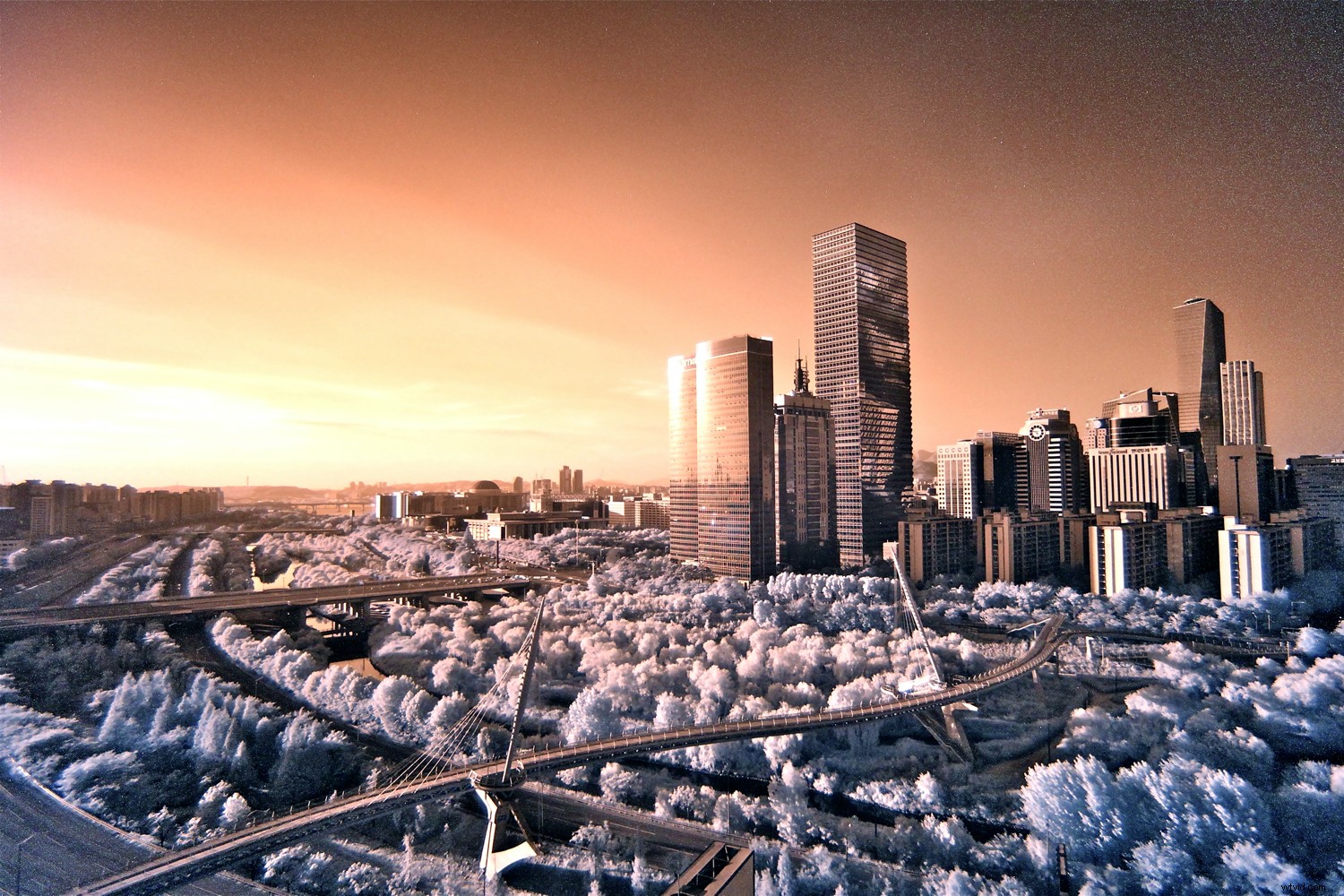 4 Proven Ways to Create Stunning Infrared Images