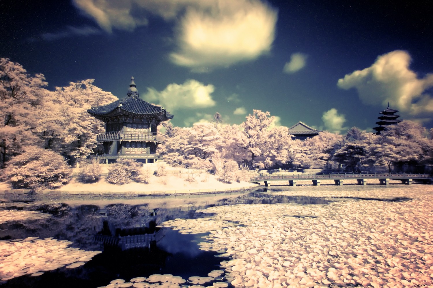 4 Proven Ways to Create Stunning Infrared Images
