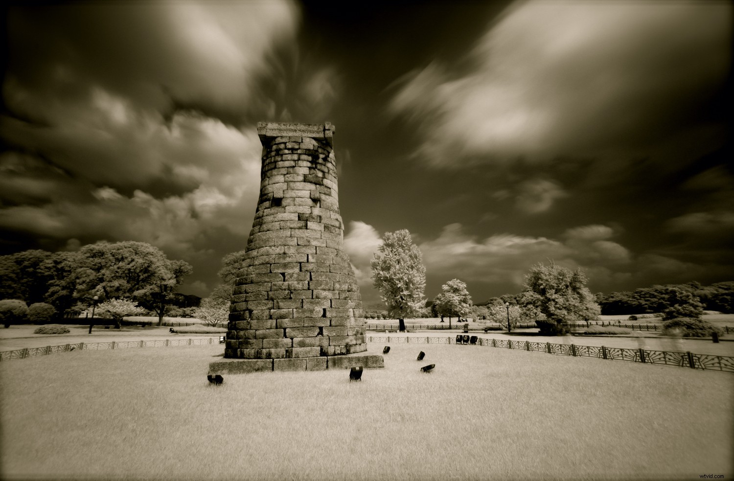 4 Proven Ways to Create Stunning Infrared Images