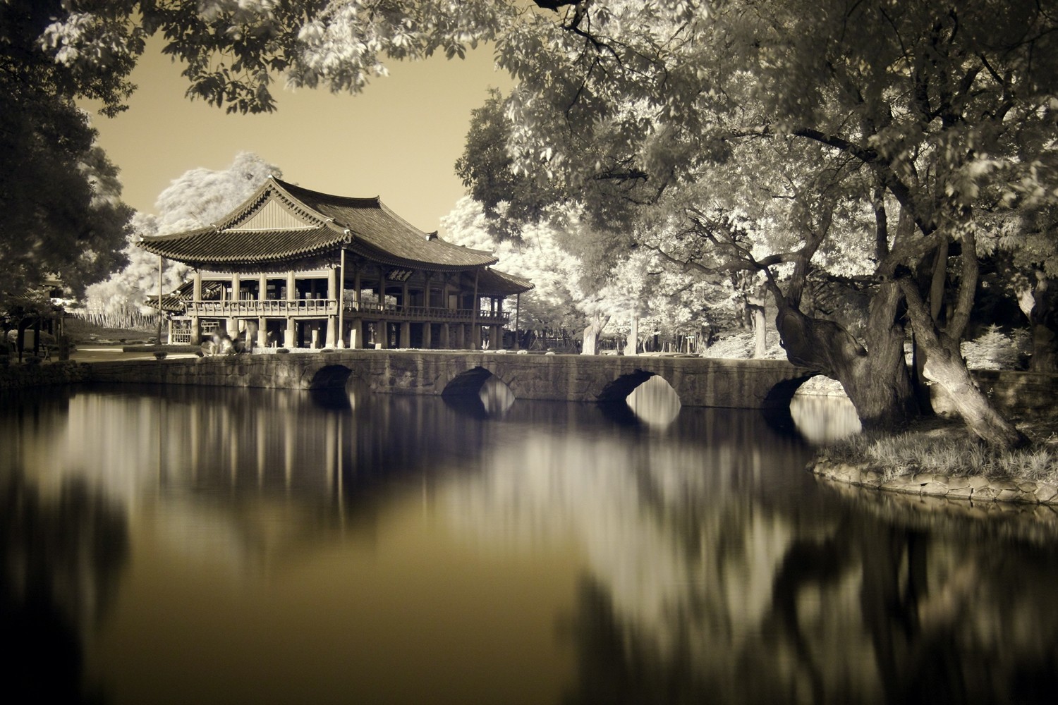 4 Proven Ways to Create Stunning Infrared Images
