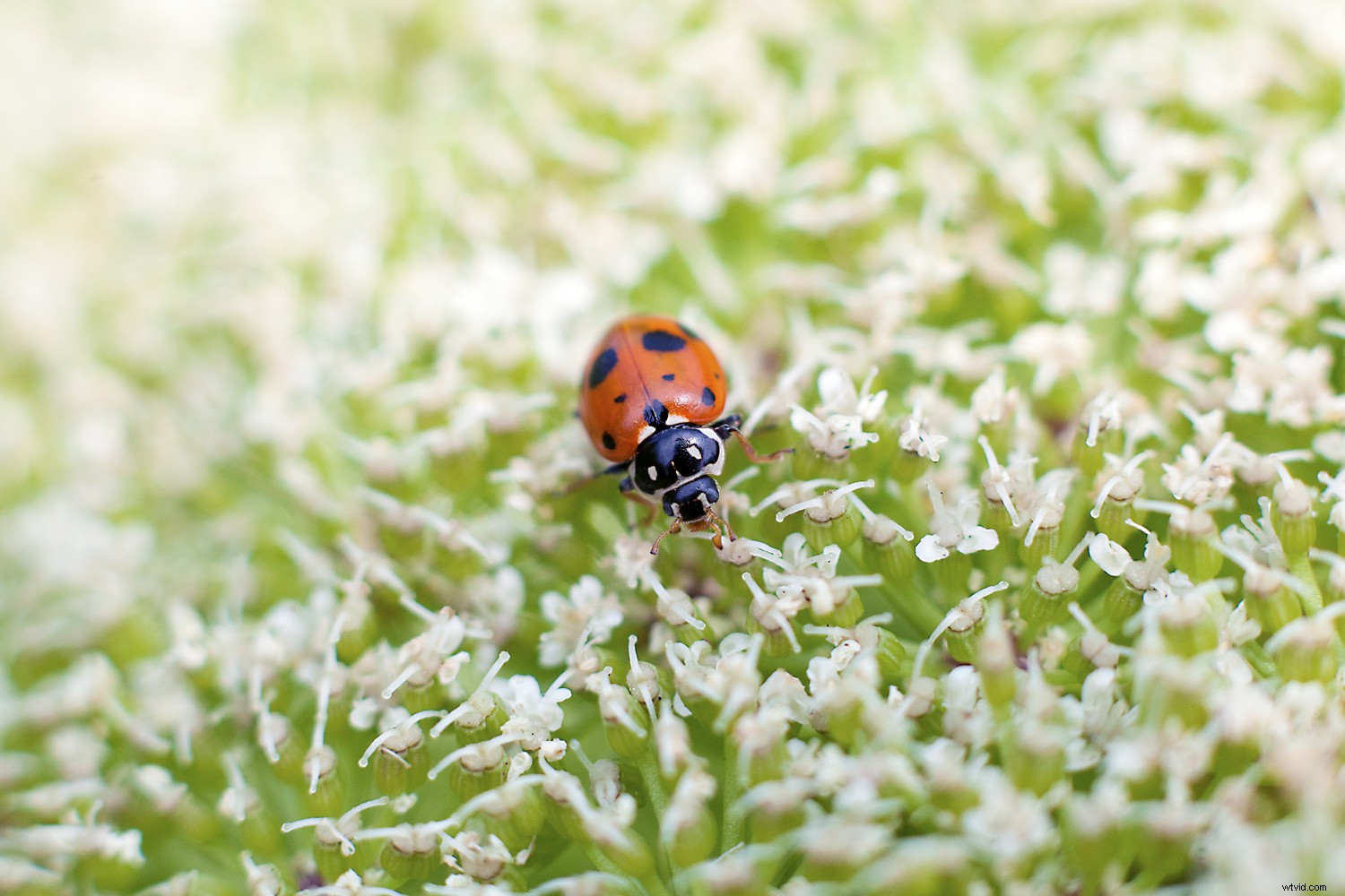 Elevate Your Photography: 4 Key Goals to Boost Creativity