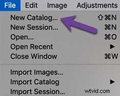 Expert Tips for Efficiently Organizing Photos in Capture One Pro
