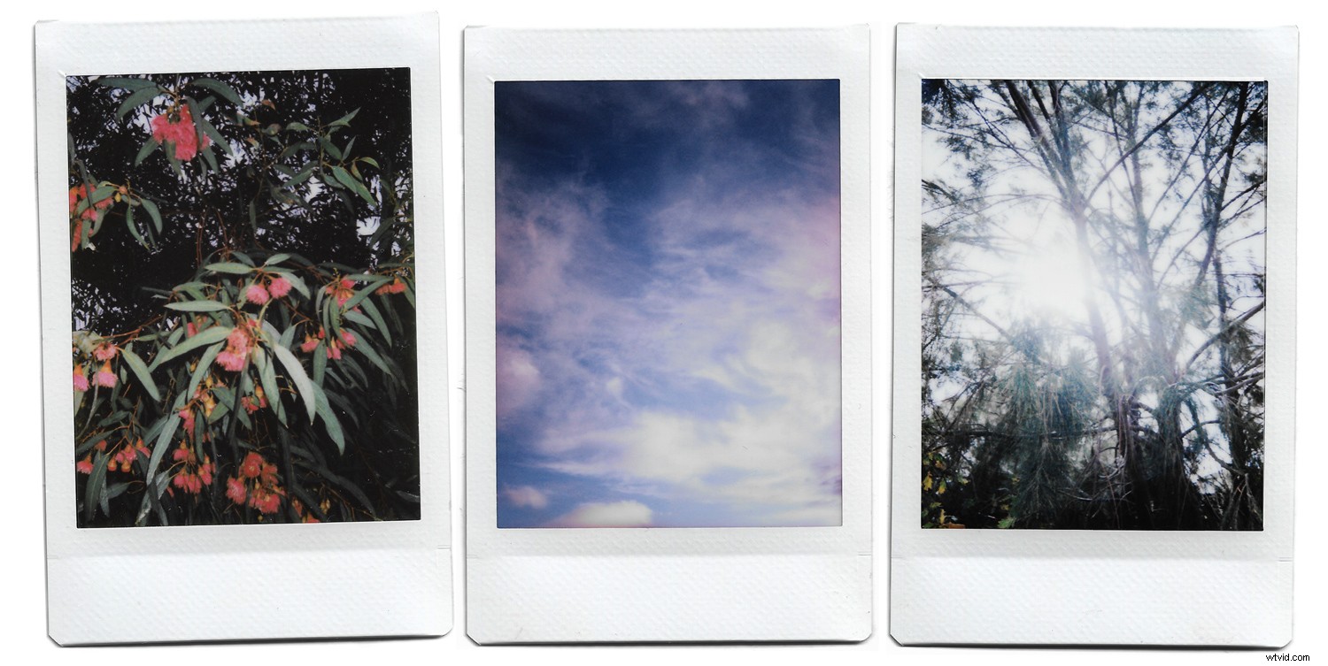 Elevate Your Photography: How Instant Cameras Boost Skills and Creativity