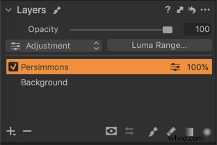 Master Layers in Capture One Pro: Beginner s Guide to Efficient RAW Editing
