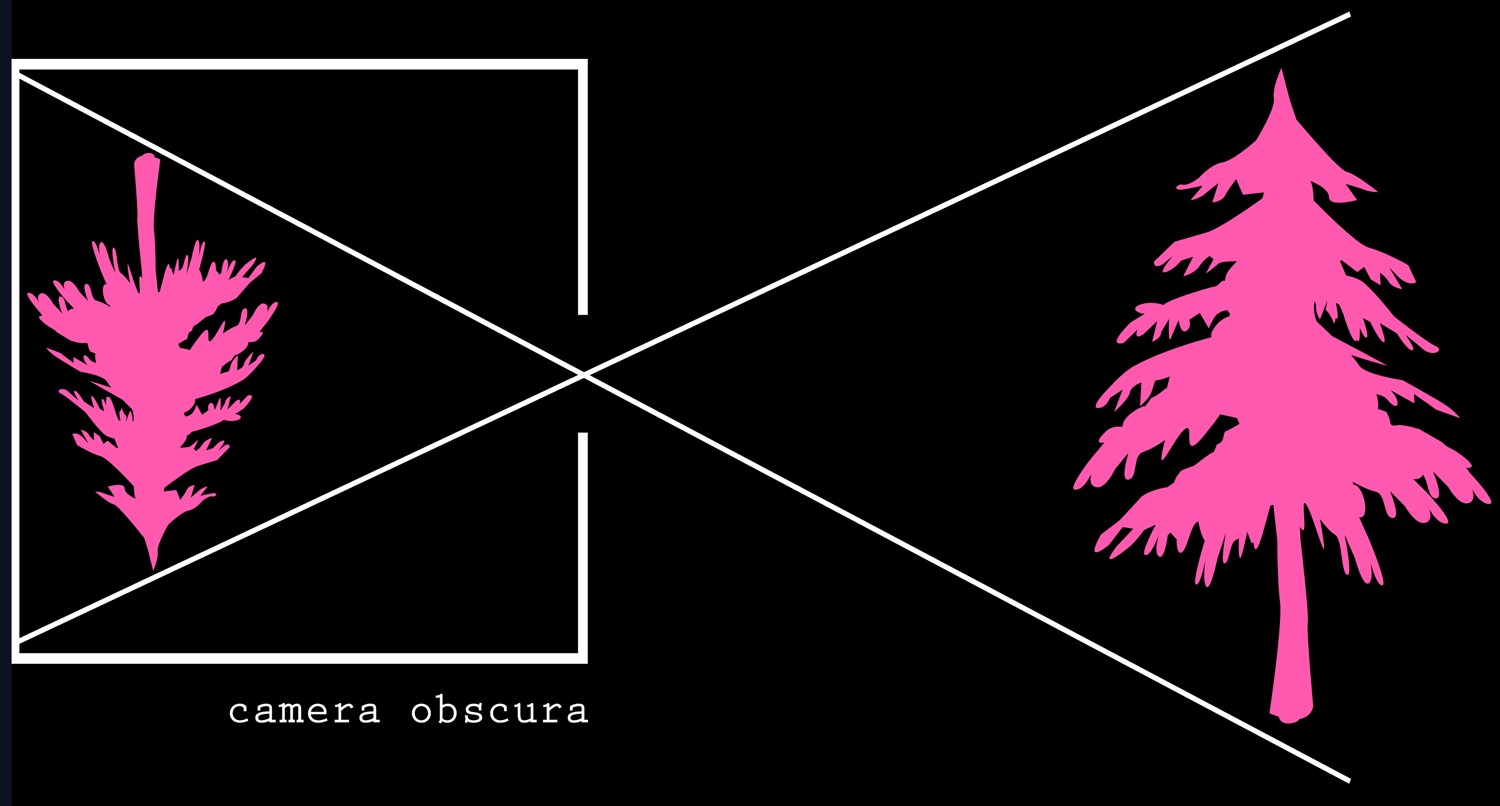 Discover 7 Astonishing Photography Facts You Likely Didn t Know