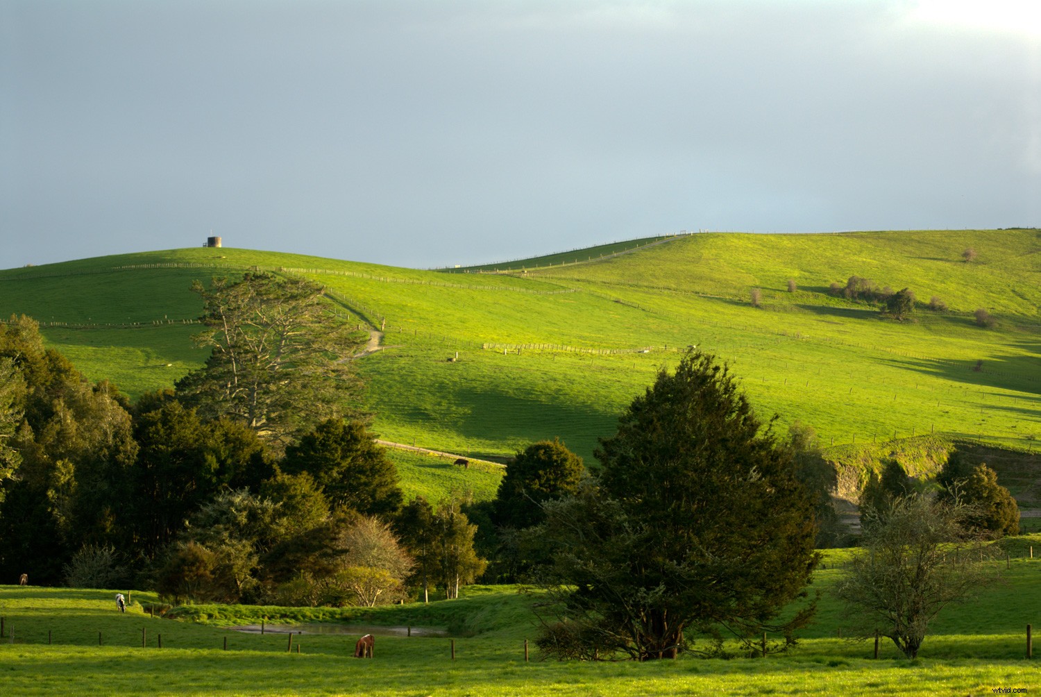 8 Expert Tips to Edit Stock Photos for Agency Approval