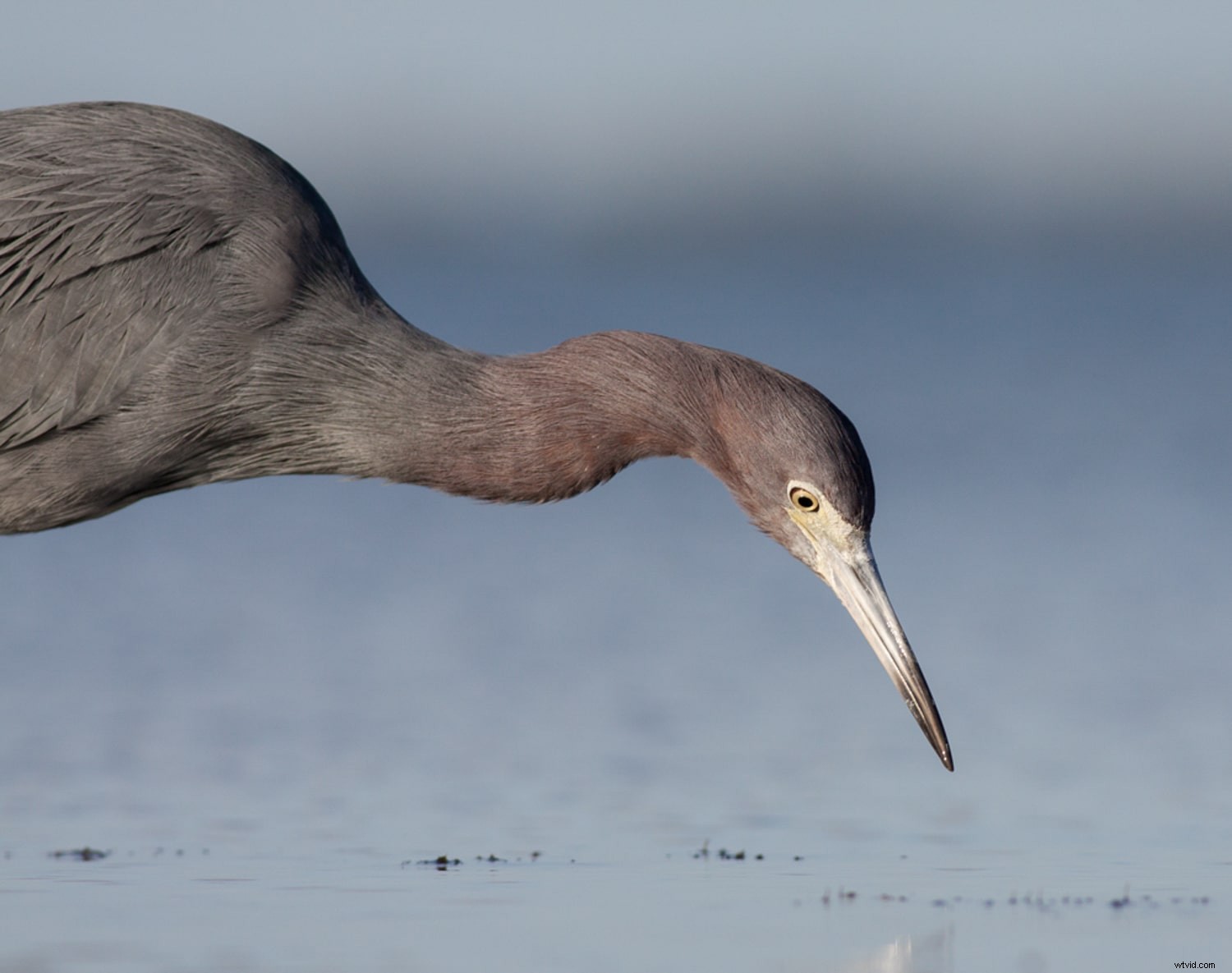 Master Focus Modes: Choose the Perfect One for Every Photography Scenario