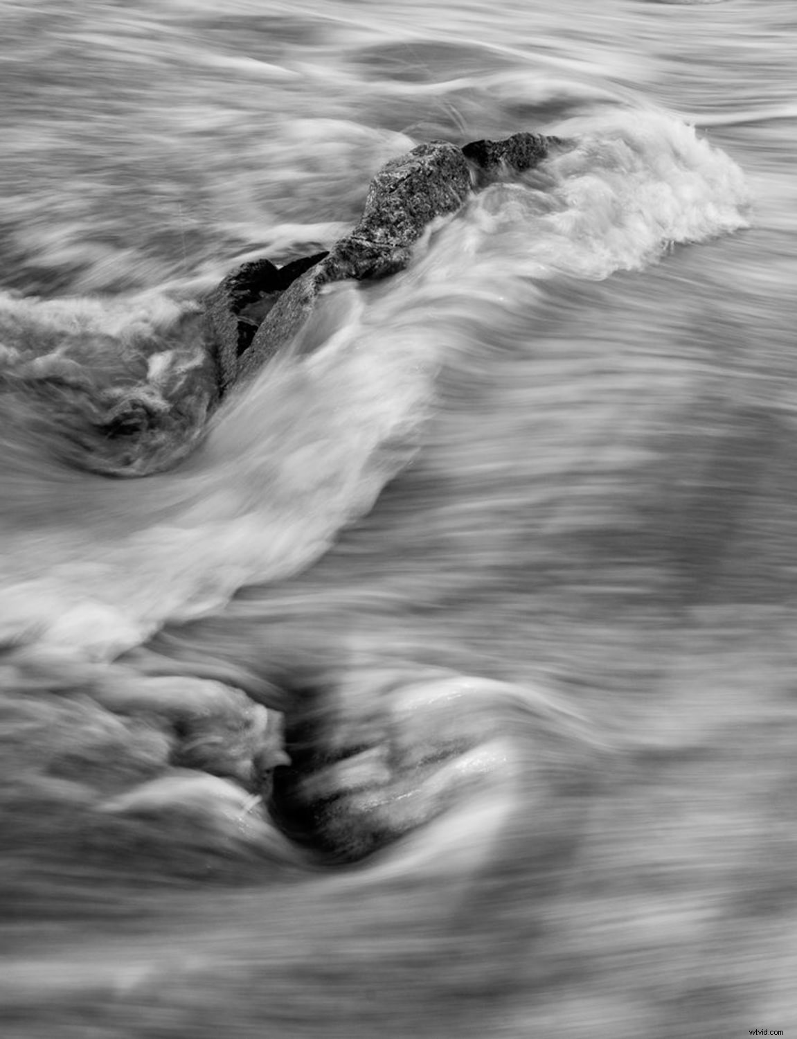 Master Focus Modes: Choose the Perfect One for Every Photography Scenario