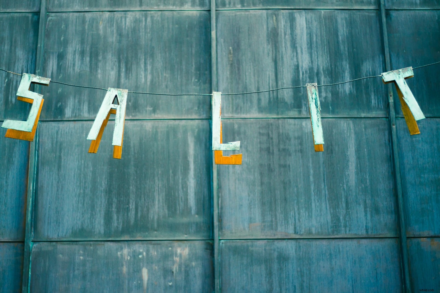 Master Focus Modes: Choose the Perfect One for Every Photography Scenario