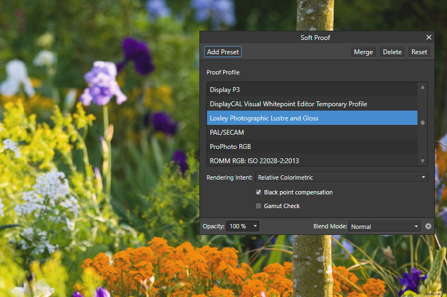 Master Color Management in Affinity Photo: The Complete Guide