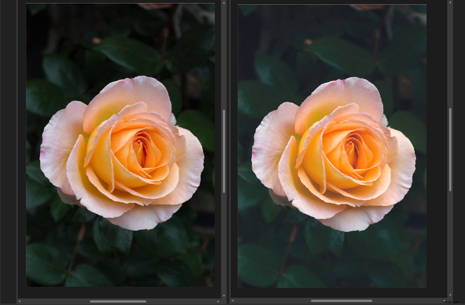 Master Color Management in Affinity Photo: The Complete Guide