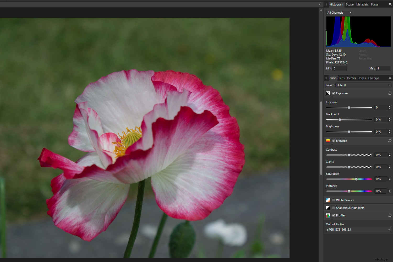Master Color Management in Affinity Photo: The Complete Guide