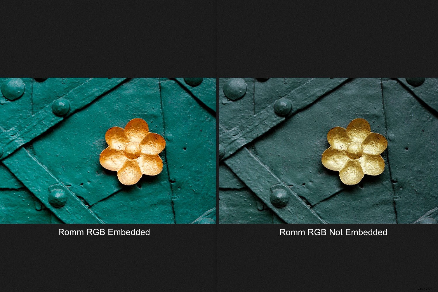 Master Color Management in Affinity Photo: The Complete Guide