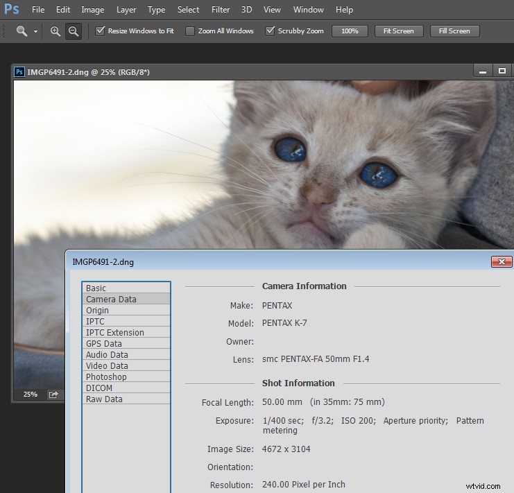 Master Image Size and Resolution: Ultimate Guide for Print and Screen