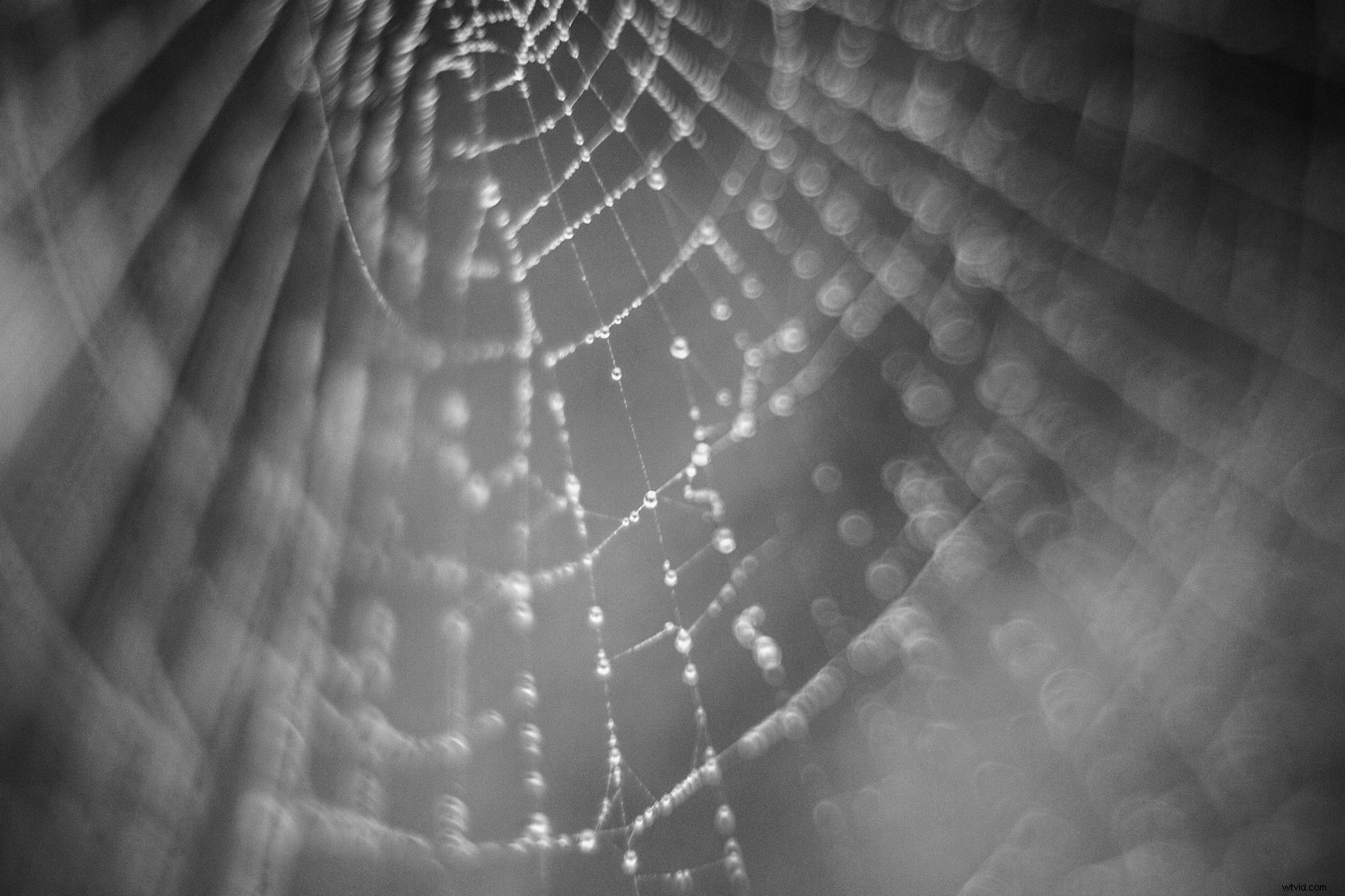 11 Essential Experiments for Beginner Digital Photographers