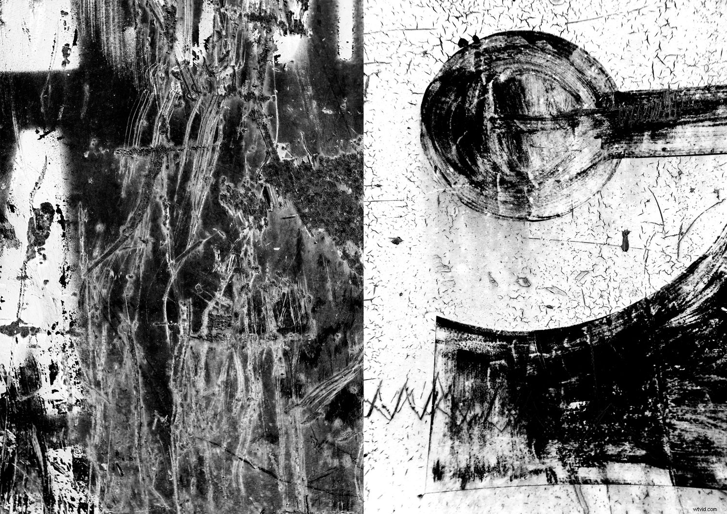 11 Essential Experiments for Beginner Digital Photographers