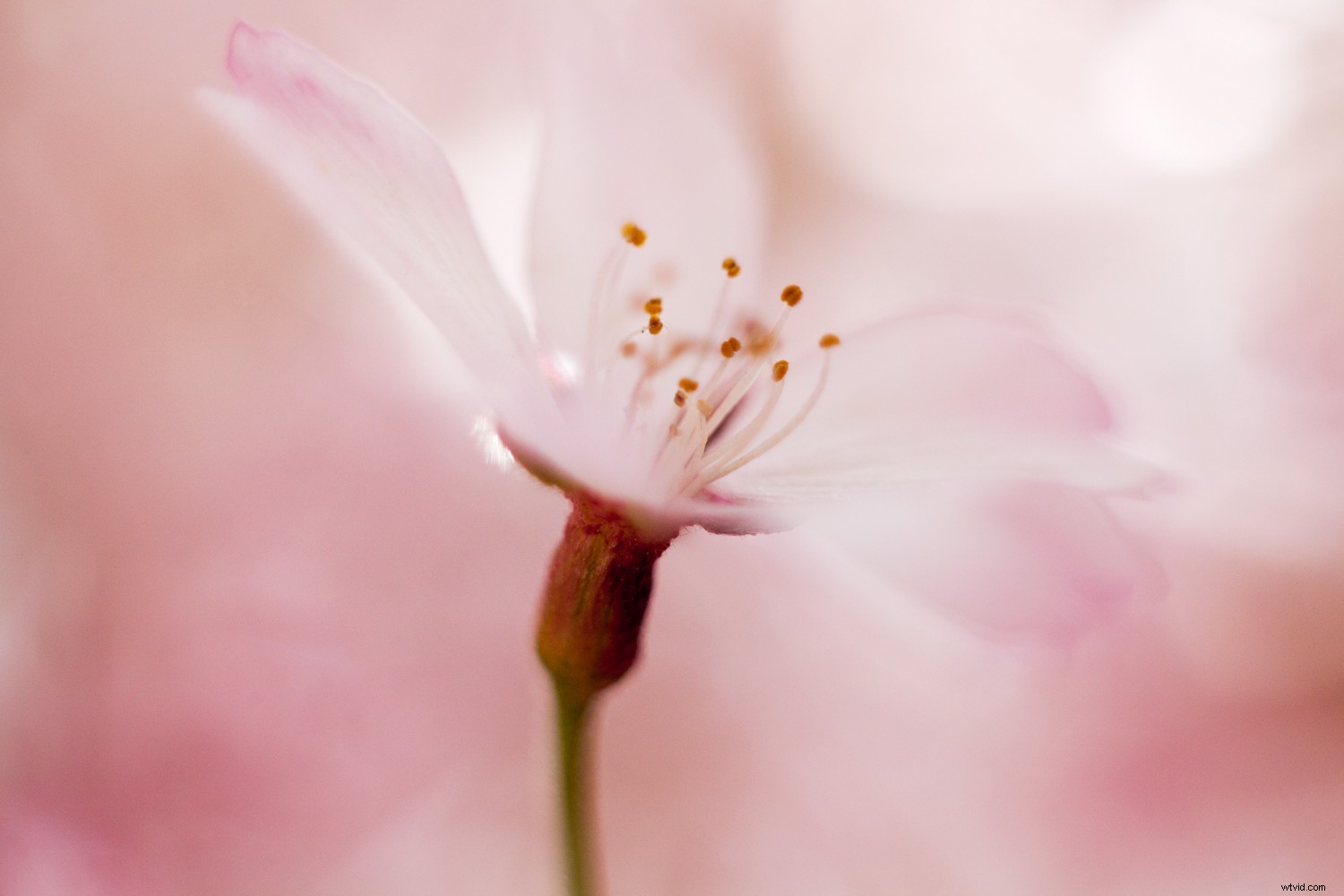 11 Essential Experiments for Beginner Digital Photographers