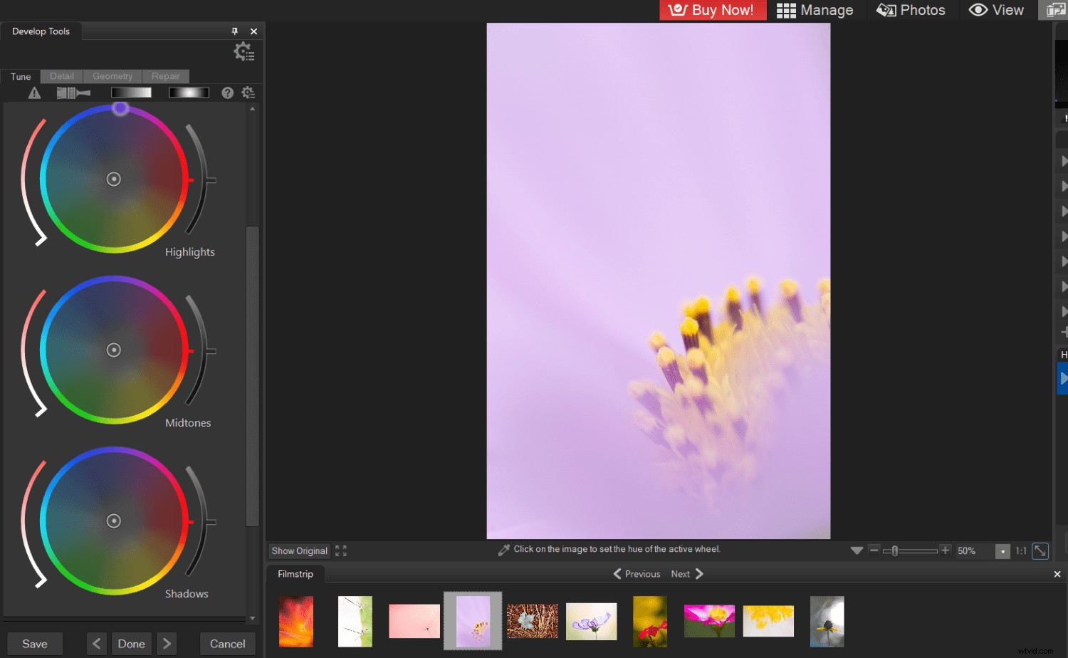 ACDSee Photo Studio Ultimate 2021 Released: The Ultimate All-in-One Photo Editor