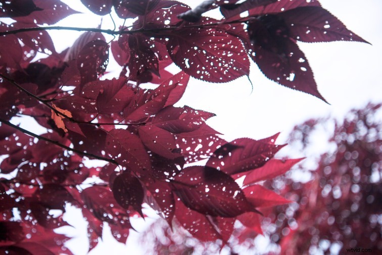 Boost Your Creativity: 4 Simple Photography Techniques to Spark Inspiration