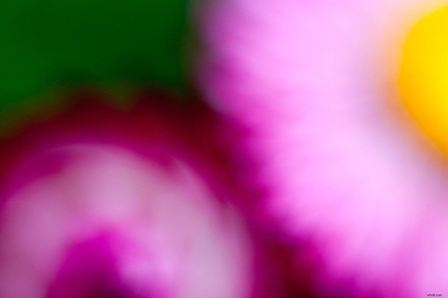 Boost Your Creativity: 4 Simple Photography Techniques to Spark Inspiration