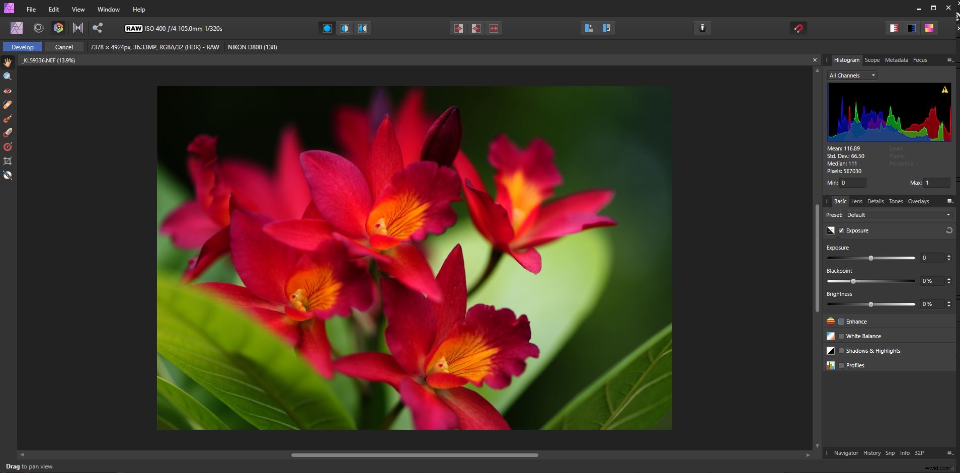 Affinity Photo Beginner s Guide: Master Professional Image Editing Fast