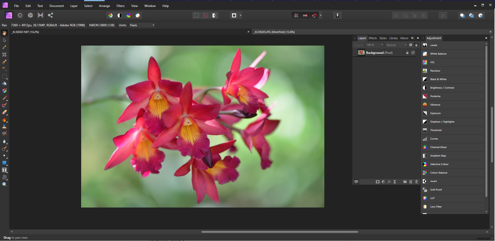 Affinity Photo Beginner s Guide: Master Professional Image Editing Fast