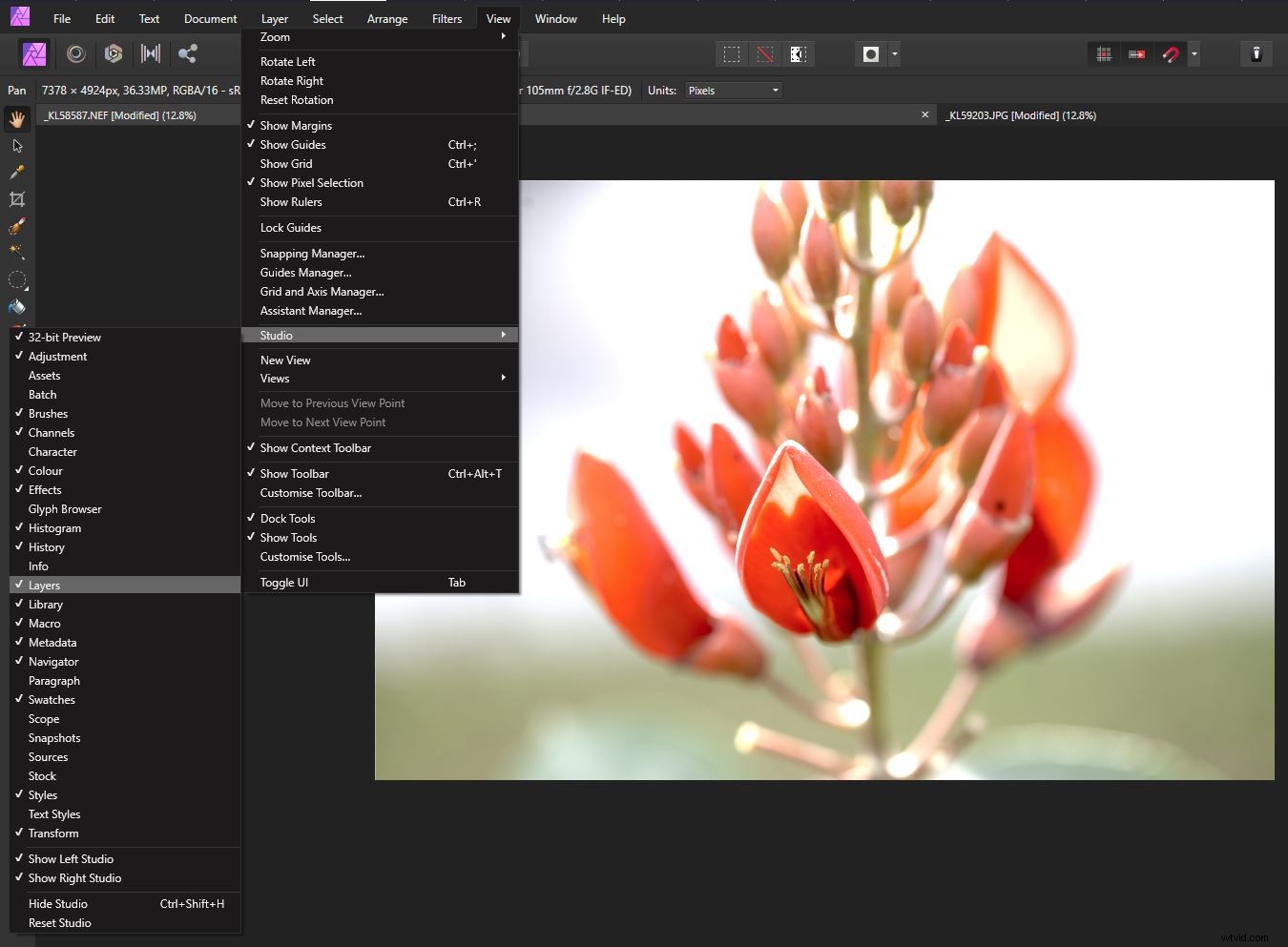 Affinity Photo Beginner s Guide: Master Professional Image Editing Fast