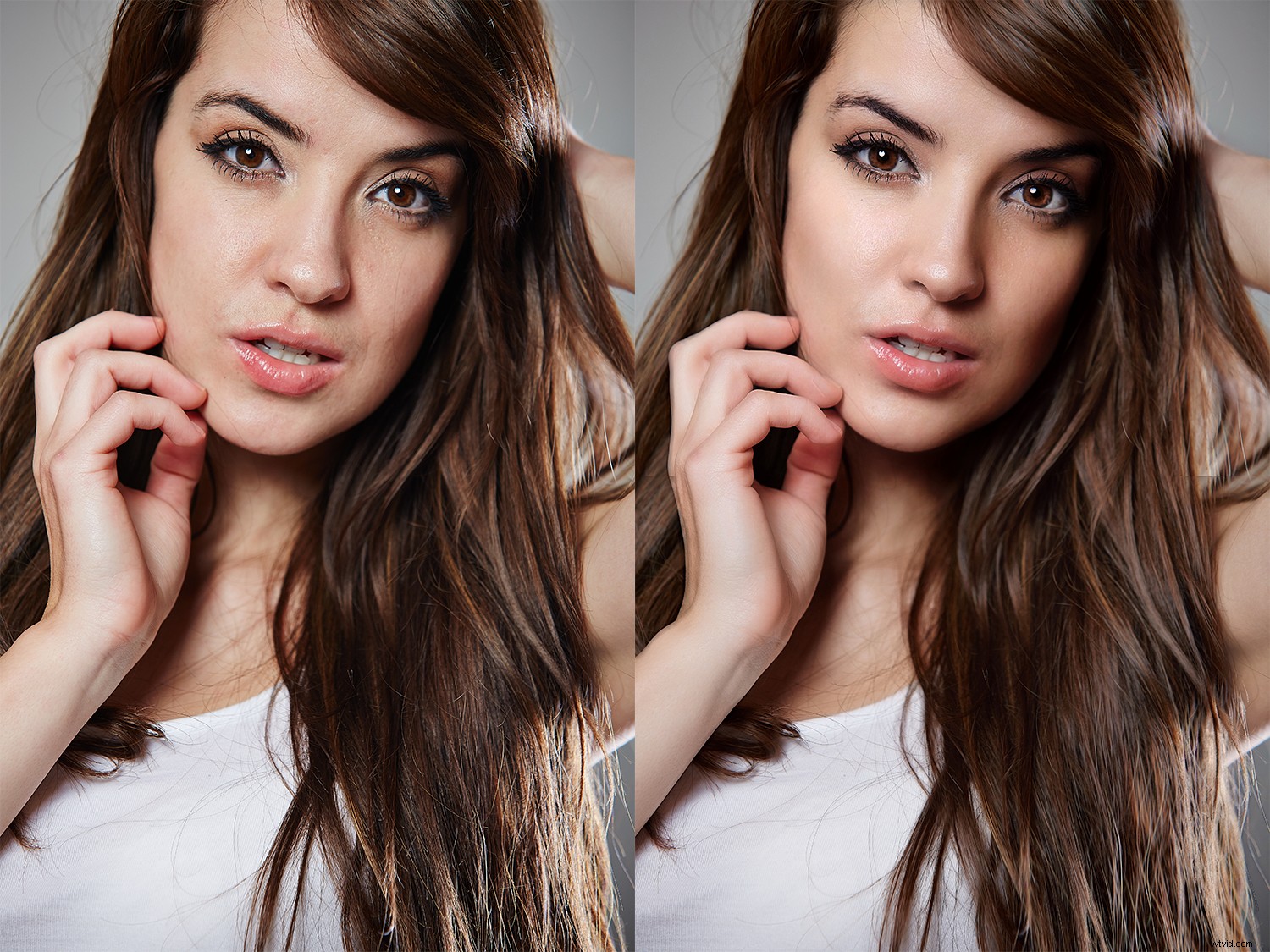 PortraitPro 19 Review: Anthropics  Effortless Professional Portrait Retouching Software