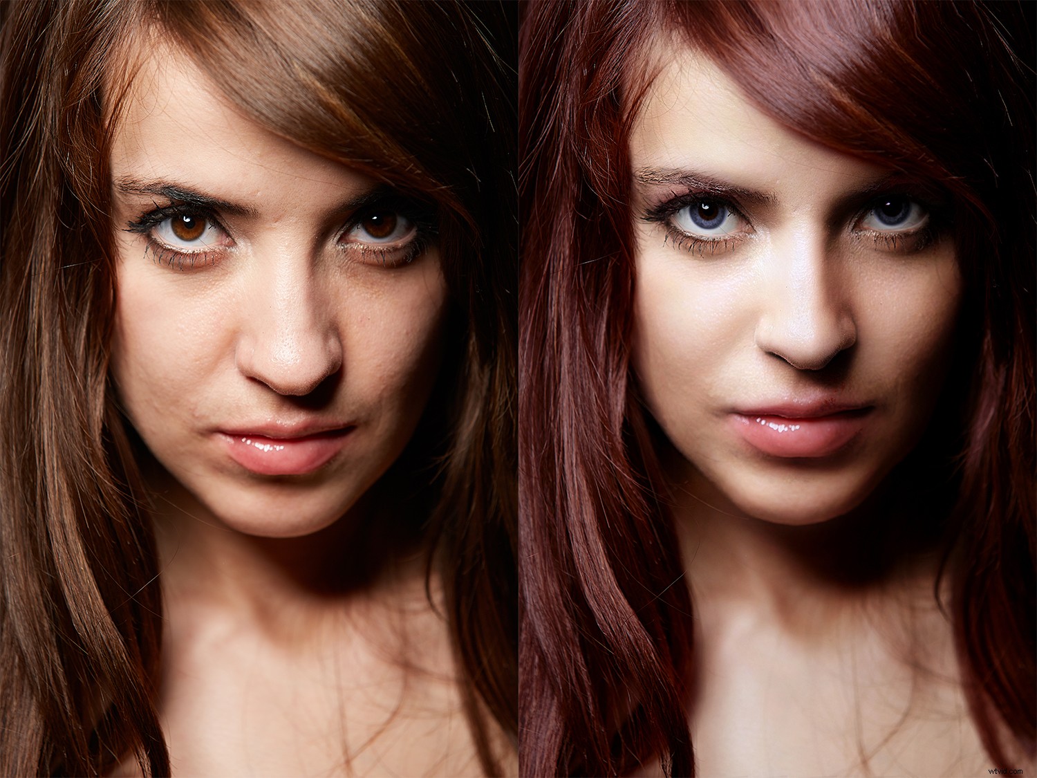 PortraitPro 19 Review: Anthropics  Effortless Professional Portrait Retouching Software