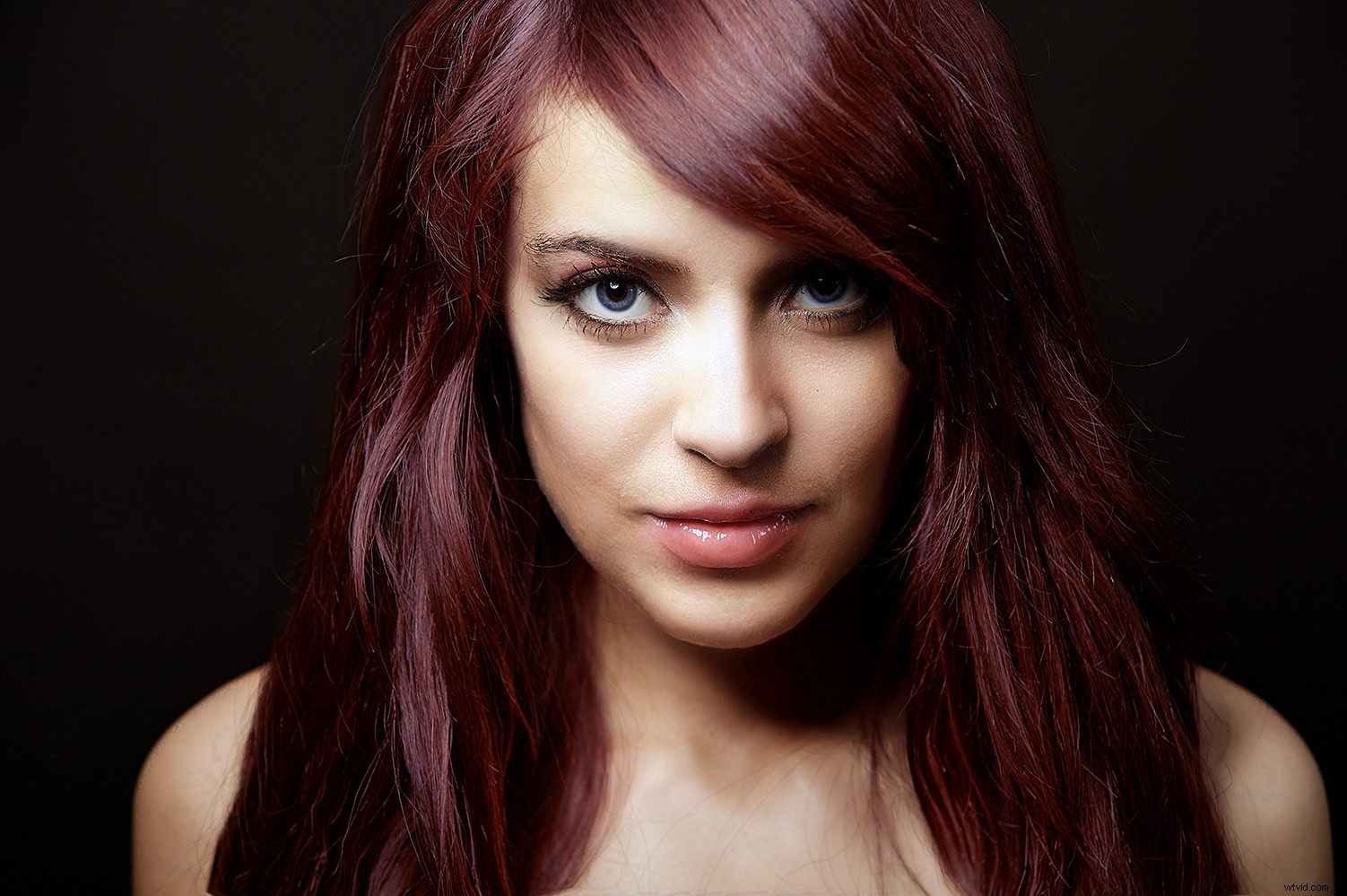 PortraitPro 19 Review: Anthropics  Effortless Professional Portrait Retouching Software