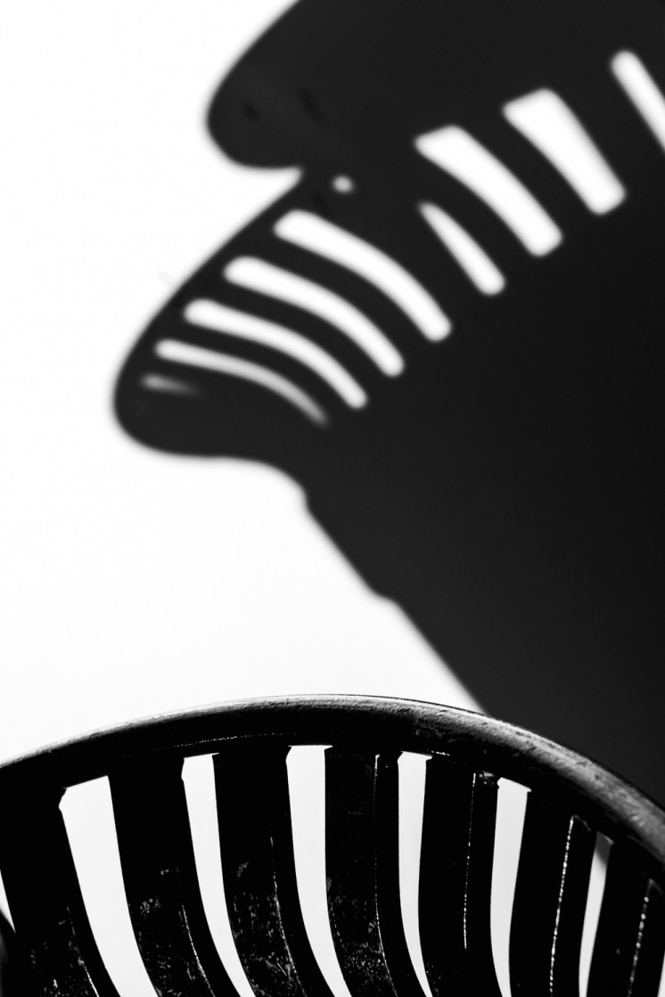 Fujifilm XF 16-80mm f/4 OIS Review: The Ultimate All-Purpose Lens for Every Photographer