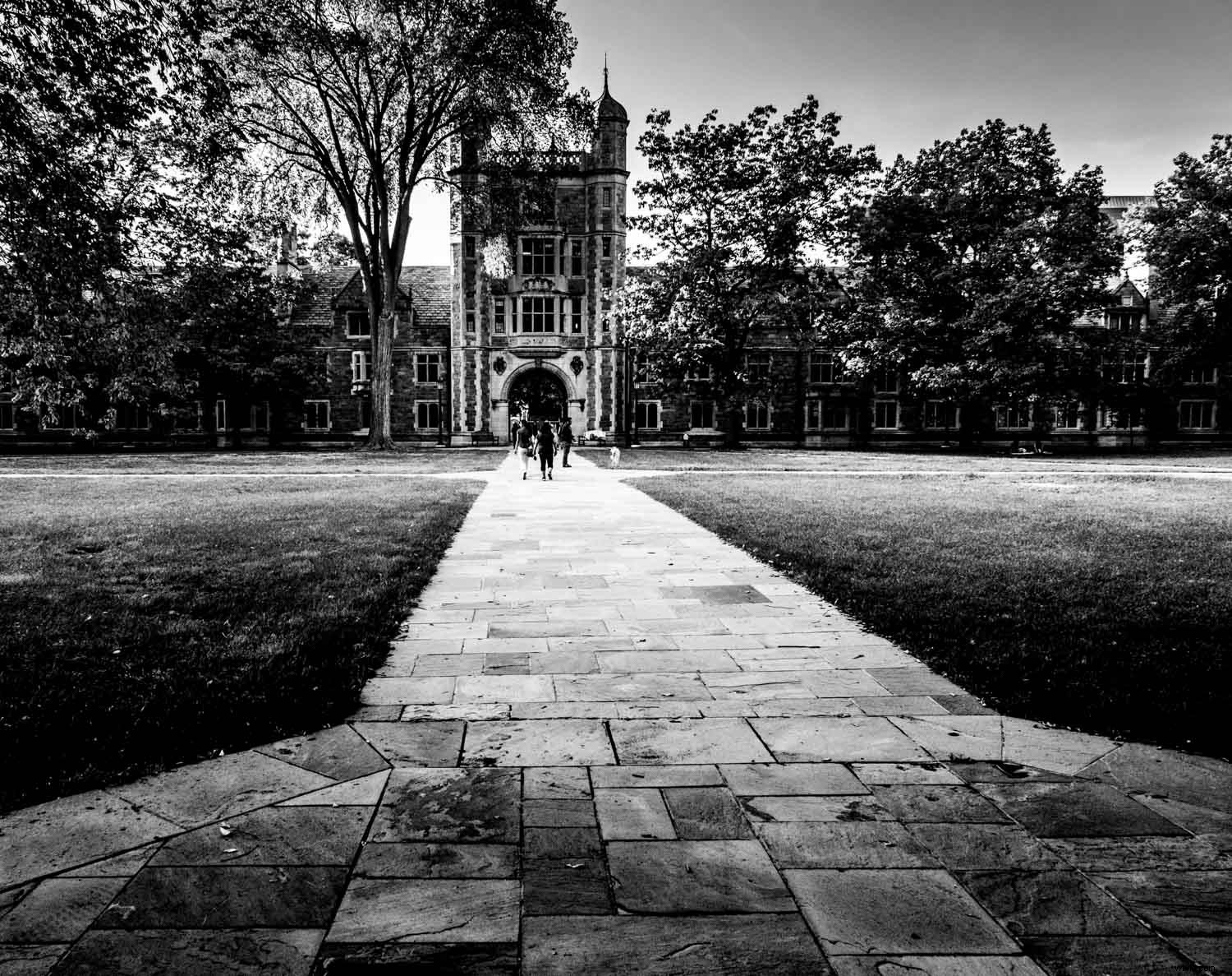 Fujifilm XF 16-80mm f/4 OIS Review: The Ultimate All-Purpose Lens for Every Photographer