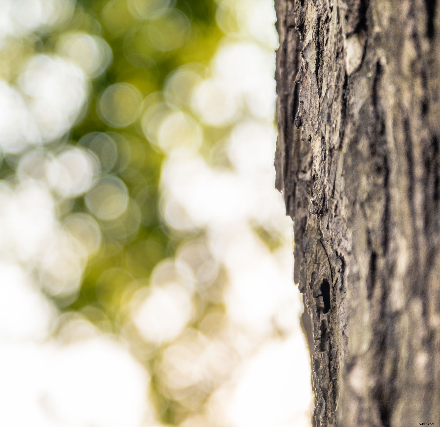 Fujifilm XF 16-80mm f/4 OIS Review: The Ultimate All-Purpose Lens for Every Photographer