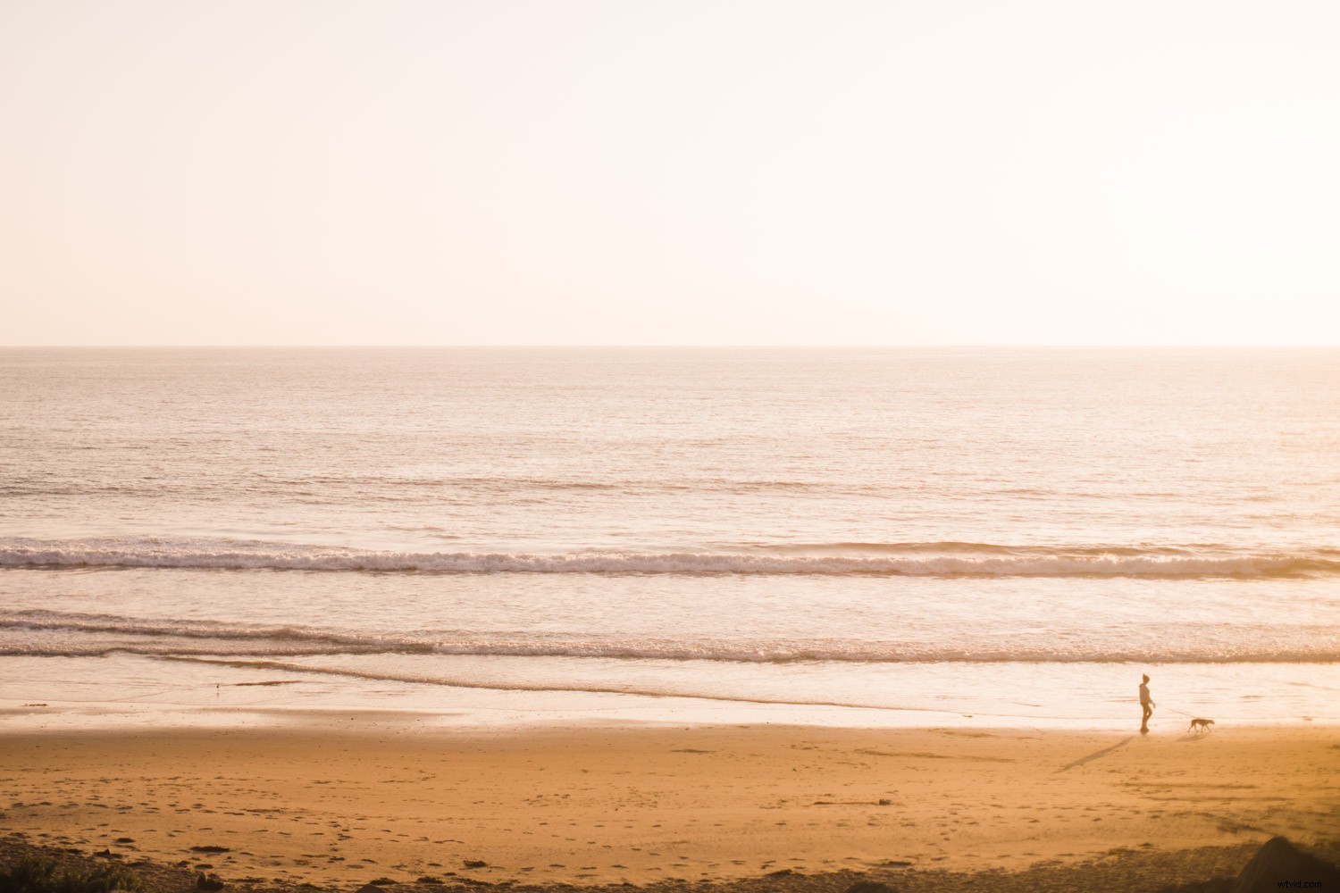 5 Proven Tips to Elevate Your Photography Skills Today