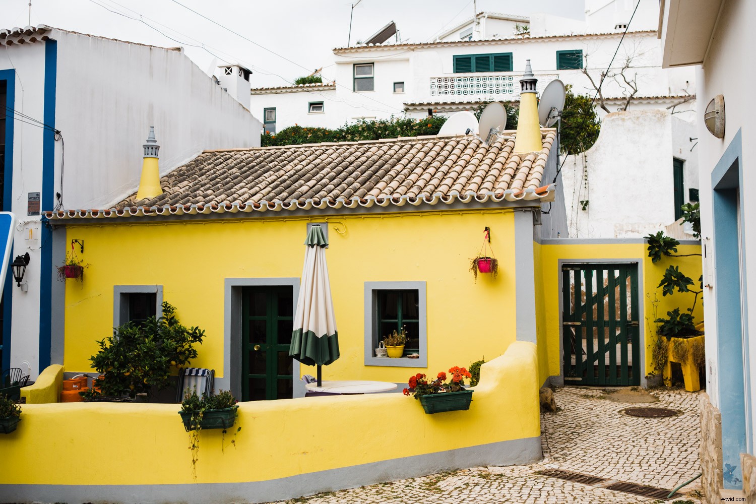 5 Proven Tips to Elevate Your Photography Skills Today