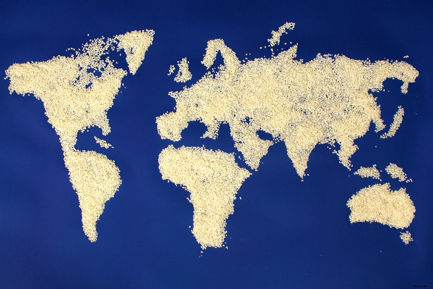 13 Expert Food Photography Ideas for Stunning, Unique Results