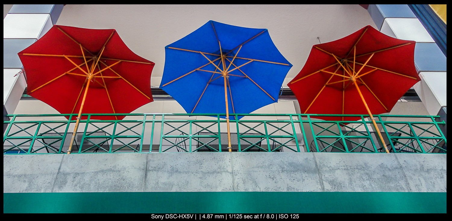 Master the Rule of Odds in Photography: Simple Technique for Stunning Compositions